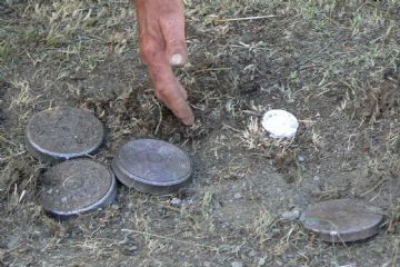 Torneo Palet a coppie