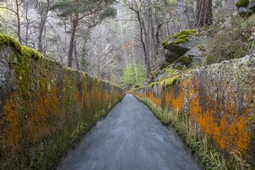 Lo scorrere impetuoso dell'acqua nel ru d'Arlaz (ph. Filippo Pompili)