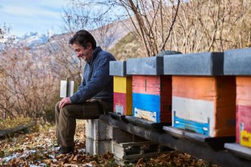 Giorgio tra le sue api