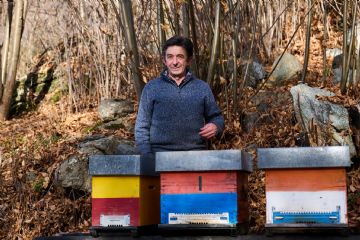 I colori diversi delle arnie servono ad aitare le api ad orientarsi