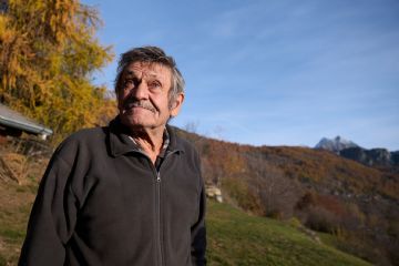 Ivo