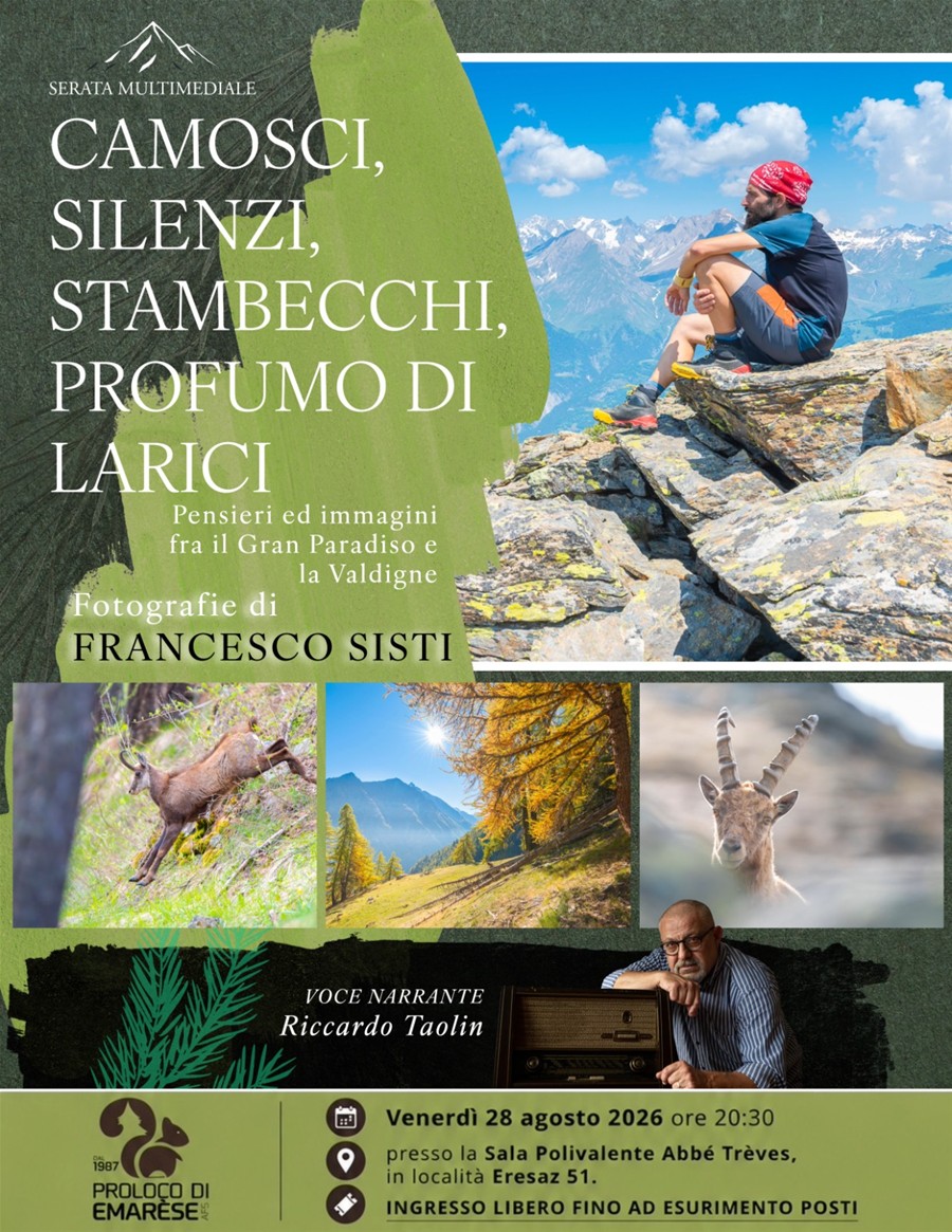 Camosci, silenzi e profumo di larici